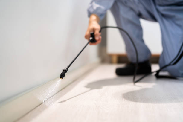 Professional exterminator conducting IPM assessment in Boerne